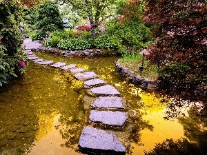 transition, Stone, Garden, rhododendron, water