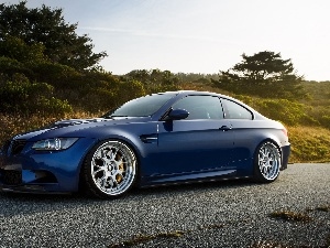 trees, Way, Blue, viewes, BMW M5