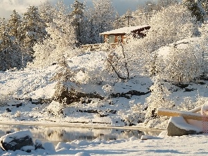 Bush, trees, viewes, winter, house, Pond - car