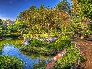 Bush, trees, viewes, japanese, Pond - car, Garden