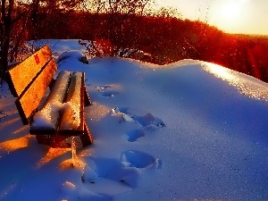 Bush, trees, Bench, winter, viewes, snow, traces