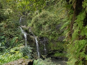 trees, Rocks, waterfall, Bush, Mountains