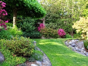 Flowers, trees, Stones, viewes, Park, Lawn, Lamplight, grass