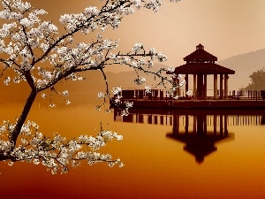 trees, Mountains, flourishing, River, Japan, Platform