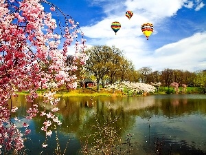 trees, flourishing, lake, Balloons
