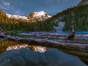 trees, Stems, lake, Mountains