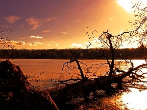 lake, trees, wind