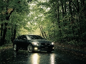 trees, Way, Gray, viewes, Lexus IS