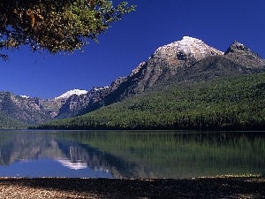 trees, coast, Mountains, lake