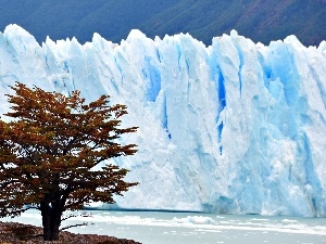 trees, River, mountains, Ice