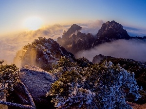 trees, sun, rocks, clouds