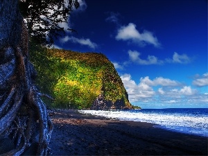 trees, coast, sea, Rocks