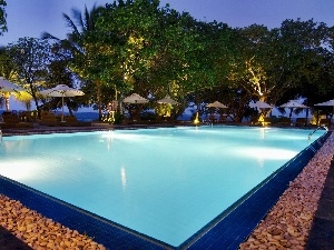 sea, trees, viewes, Hotel hall, Maldives, Pool