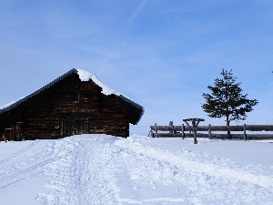 trees, fence, snow, Sky, Home