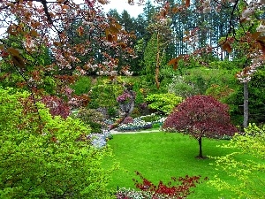 trees, flourishing, Spring, Garden