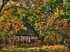 trees, Garden, autumn, viewes, house