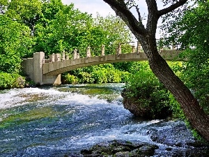 trees, River, bridge, viewes, tear