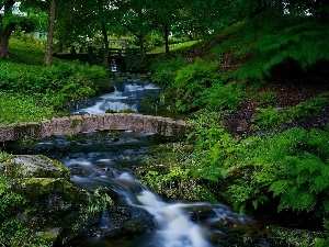 trees, fern, bridges, Park, viewes, brook