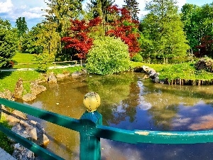 trees, Pond - car, Park, viewes, summer