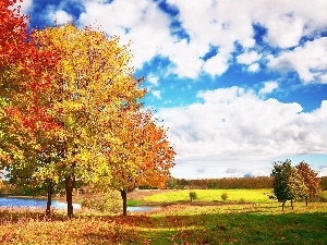 trees, lake, clouds, autumn, viewes, medows