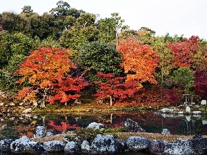 trees, River, color, Japan, viewes, Kyoto