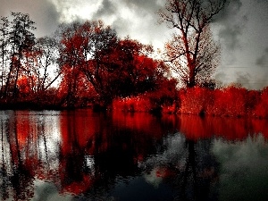 trees, clouds, color, Park, viewes, lake