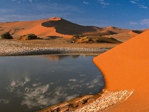 trees, water, Desert, viewes, container