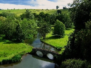 trees, bridge, field, viewes, River