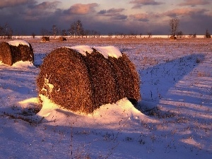 trees, Hay, Field, viewes, Bele