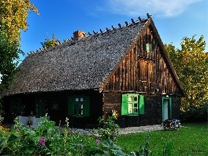 trees, grass, Flowers, wooden, viewes, Home