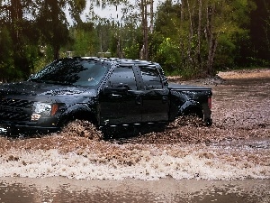 trees, River, Ford, viewes, Raptor