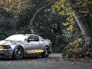 trees, Way, Ford, viewes, Mustang