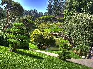 trees, bridges, Garden, viewes, japanese