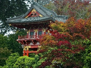 trees, decorating, Japan, house, viewes, Golden