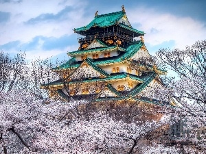 trees, flourishing, japanese, viewes, house