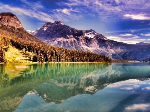 trees, reflection, lake, viewes, Mountains