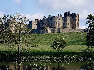 trees, grass, Meadow, Castle, viewes, brook