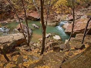 trees, rocks, Mountain, viewes, River