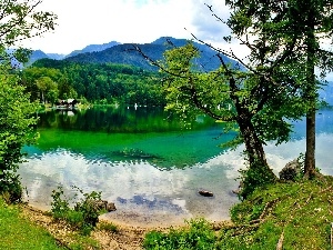 trees, coast, Mountains, viewes, lake