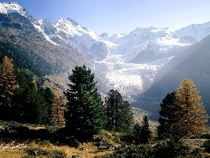 trees, Snowy, Mountains, Engadine, viewes, Switzerland