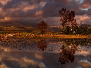 trees, lake, Mountains, viewes, clouds