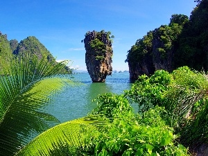 trees, Palm, Mountains, viewes, rocks