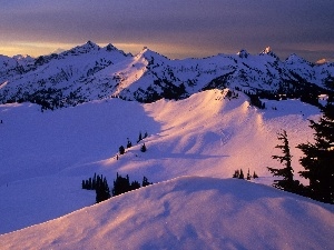 trees, snow, Mountains, viewes, Covered