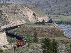 trees, Train, Mountains, viewes, River
