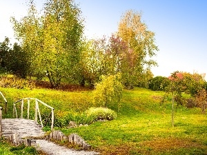 trees, wooden, Park, viewes, bridges