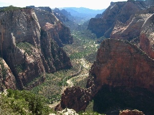 trees, Mountains, roads, canyon, viewes, Rocky