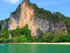 trees, Beaches, rocks, viewes, sea