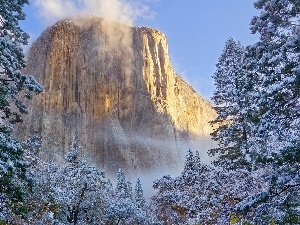 trees, national, rocks, California, viewes, Park