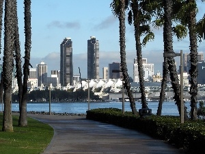 trees, Way, San Diego, viewes, skyscraper