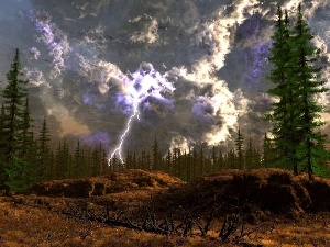 trees, high, Sky, viewes, lightning